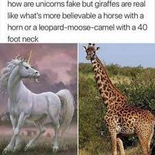 The fossil record of our planet reads like a fantasy novel. Pin On Funny Animal Memes