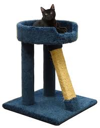 Kedi Evi Panosundaki Pin