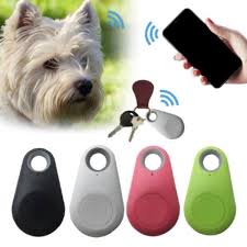 This Is One Of Our Most Innovative Products Bowland House Introduces The Pet Tracker Download The App And Track Your Pet Sevimli Hayvan Yavrulari Hayvan Kedi