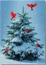 Cardinals Boxed Christmas Cards Boxed Christmas Cards Cardinal Christmas Cards Christmas Cards