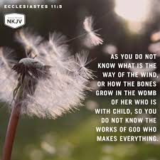 Gmaj7 f#m7 bm7 em7 a7sus em7/a chorus. Verse Of The Day