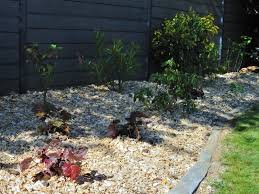 Dix Legumes A Faire Pousser A L Ombre Du Potager Copeaux De Bois Jardin Potager Jardin Potager