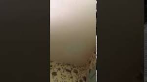 We did not find results for: How To Cover A Stain On A White Ceiling With Kilz Upshot Youtube
