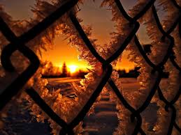 Rosewood and black pvc vinyl privacy fence is the best backyard fence idea on the market today. Black Hog Wire Fence Ice Snow Winter Hd Wallpaper Wallpaper Flare