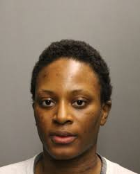 Jordan Shipp charged with stabbing dog to death, wounding 2 women in Rogers  Park