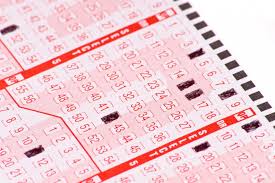 Get prize breakdowns, winning codes for uk millionaire maker, irish raffle, french my million and more. Australian Family S Lottery Numbers Pay Off After 20 Years Upi Com