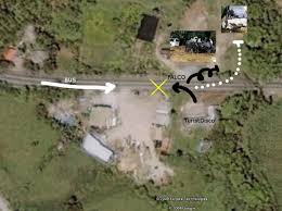 Als falco wurde er zu der schock in der musikwelt in österreich und deutschland saß tief. Falcos Tod Falco Wiki Fandom