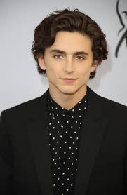 American actor timothée chalamet has received numerous awards and nominations for his film, television and theatrical performances. Timothee Chalamet Turns 25 Happy Birthday His Most Fashionable Looks