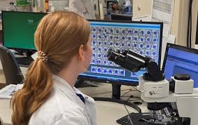 Laboratory technologist at a workstation with microscope and monitor showing digital blood cell morphology images
