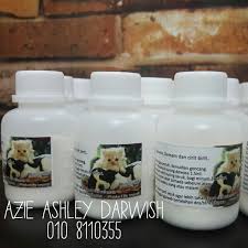 Ini adalah perkara yang anda mesti jangan buat jika kucing selsema dan berhingus teruk kerana nantinya kucing anda akan. Ubat Selsema Sakit Mata Cirit Birit Kucing All In One Pet Supplies Pet Food On Carousell