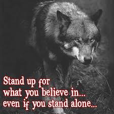 Stand Up For What You Believe In Follow Us For Daily Pics Quotes Photo Via Wolf Lovers Community Wolf Wo Warrior Quotes Wolf Quotes Lone Wolf Quotes
