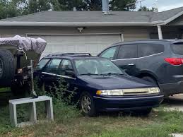 Image result for Wild Strawberry 1991 Tracer