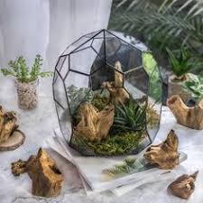 2 pin posts with 2. 900 Diy Succulents Flower Pots Ideas Flower Pots Succulents Succulents Diy