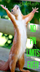 Hallelujah No Pin Limits Happy Pinning Tam Happy Squirrel Animals Cute Animals