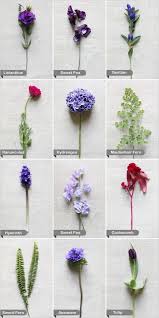 Purple And Red Wedding Flowers Purple Wedding Flowers Red Wedding Flowers Flower Guide