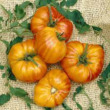Large slicing tomato plants paste tomato tomato plant collections. Pineapple Tomato Seeds Pineapple Heirloom Tomatoes
