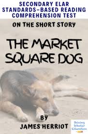 Jul 28, 2021 · commonlit: The Market Square Dog Multiple Choice Reading Comprehension Quiz Test