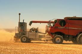 Weed control is an important factor for obtaining optimum yields and sugar level content. Ecologically Sustainable Weed Management How Do We Get From Proof Of Concept To Adoption Liebman 2016 Ecological Applications Wiley Online Library