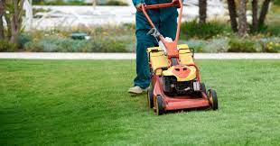 Sun started coming up about 6:55am and i pulled the starter string on the lawnmower. When To Do The First Mow Of The Year Mowerplace