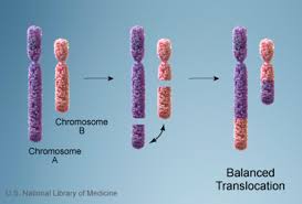 cri du chat syndrome genetics home reference nih