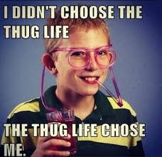 Funny Stuff From The House Of Funny Click On The Picture To See Hundreds More Thug Life Meme Thug Life Humor