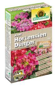 Düngen sie bereits gepflanzte hortensien im frühling. Azet Hortensien Dunger Neudorff Baumschule Horstmann