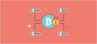 What Are Exchange Api Keys