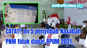 Selanjutnya, dana bantuan akan dicairkan diikuti dengan laporan penyaluran dana bantuan tersebut. 5 Penyebab Nasabah Pnm Mekar Tidak Mendapatkan Bantuan 1 2 Juta Bpum Umkm 2021 Sobat Lima