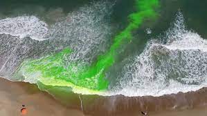 Rip Current Danger And How To Avoid It At The Beach This Year | Kokh