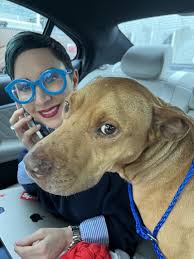 Meet the newest member of the Wheatman family! This is Dexter, and I met…