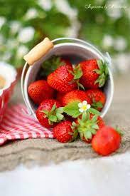 powerpatate gratitude merci pour les fraises delicieuses des vraies du jardin mmmmm おいしい フルーツ イチゴ