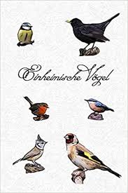 Wenn du wissen möchtest, welche heimischen vögel zu gerade gesehen hast, dann dürfte dieser bericht dir eine große hilfe sein. Einheimische Vogel Notizbuch Fur Alle Meine Vogel Im Garten Wald Und Park Einheimische Vogel Beobachten Und Heimische Singvogel Bestimmen Vogel Tagebuch Fur Hobby Ornithologen Amazon De Dreambooks Vogelbestimmung Bucher