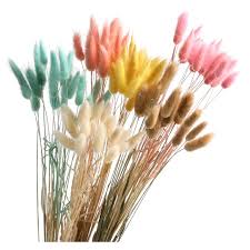 Maybe you would like to learn more about one of these? Conroy S Flowers 3881 Alton Pkwy Ste E Irvine Ca