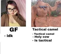 We are going to set up camel routes that uses the file: Tactical Camel Dankmemes