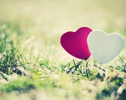We have 51+ amazing background pictures carefully picked by our community. Download Wallpaper Hd Love Wallpapers Feel My Love Hd 3780 Hd Wallpaper Backgrounds Download