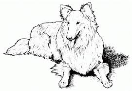 A few months ago grandma. Realistic Puppy Coloring Pages Coloring Home