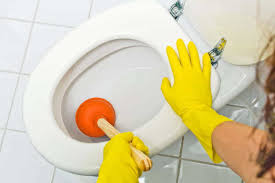 We did not find results for: Quel Produit Utiliser Pour Deboucher Des Toilettes