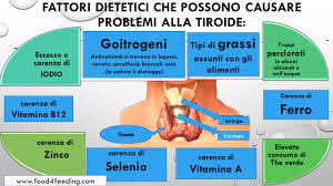 Tuttavia, introducendo determinati alimenti è possibile stimolare la tiroide e raggiungere l'obiettivo di perdere qualche chilo. Tiroide Alimentazione E Ambiente Food4feeding