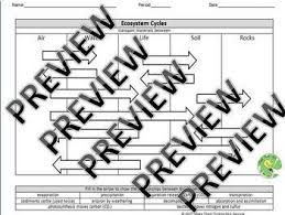 Ecosystem Biogeochemical Cycles Graphic Organizer Graphic Organizers Higher Order Thinking Skills Teaching Critical Thinking