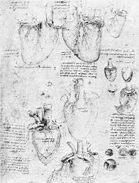 Over the course of his life, da vinci filled more than seven thousand notebook pages with sketches and writing. The Drawings Of Heart By Leonardo Da Vinci Sketches Showing The Download Scientific Diagram