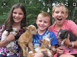 Check spelling or type a new query. P S Mobile Petting Zoo Home Facebook