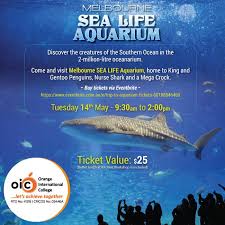 Trip To The Aquarium Sea Life Melbourne Aquarium Aquarium Aquarium Tickets