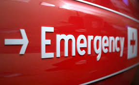 Where is the pet emergency center in mount vernon washington? Emergencies At Animal General