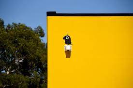 Brand New New Identity For Petbarn By Landor Visual Identity Identity Design Hello Design