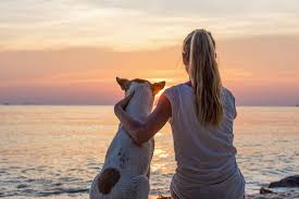 Explore our selection of outer banks pet friendly rentals for your next trip! Outer Banks Rentals Resort Realty Obx Vacation Rental Homes