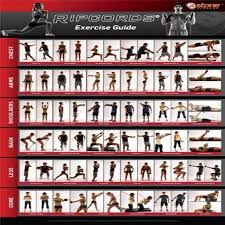 Ripcords Exercise Guide Poster Resistance Band Workout