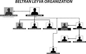 Borderland Beat Beltran Leyva Organization