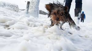 Januar und februar sind die kältesten wintermonate in deutschland für anfang 2020 könnte das wetter in deutschland heftig werden Wetter In Deutschland Schneebombe Rollt Heran Experte Befurchtet Chaos Wetter