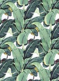Golden Girls Martinique Wallpaper Banana Leaf Wallpaper Martinique Wallpaper Leaf Wallpaper