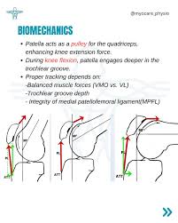 Image result for Patella Tracking Assessment
